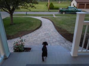 Hardscpae walkway with Dog looking out past porch